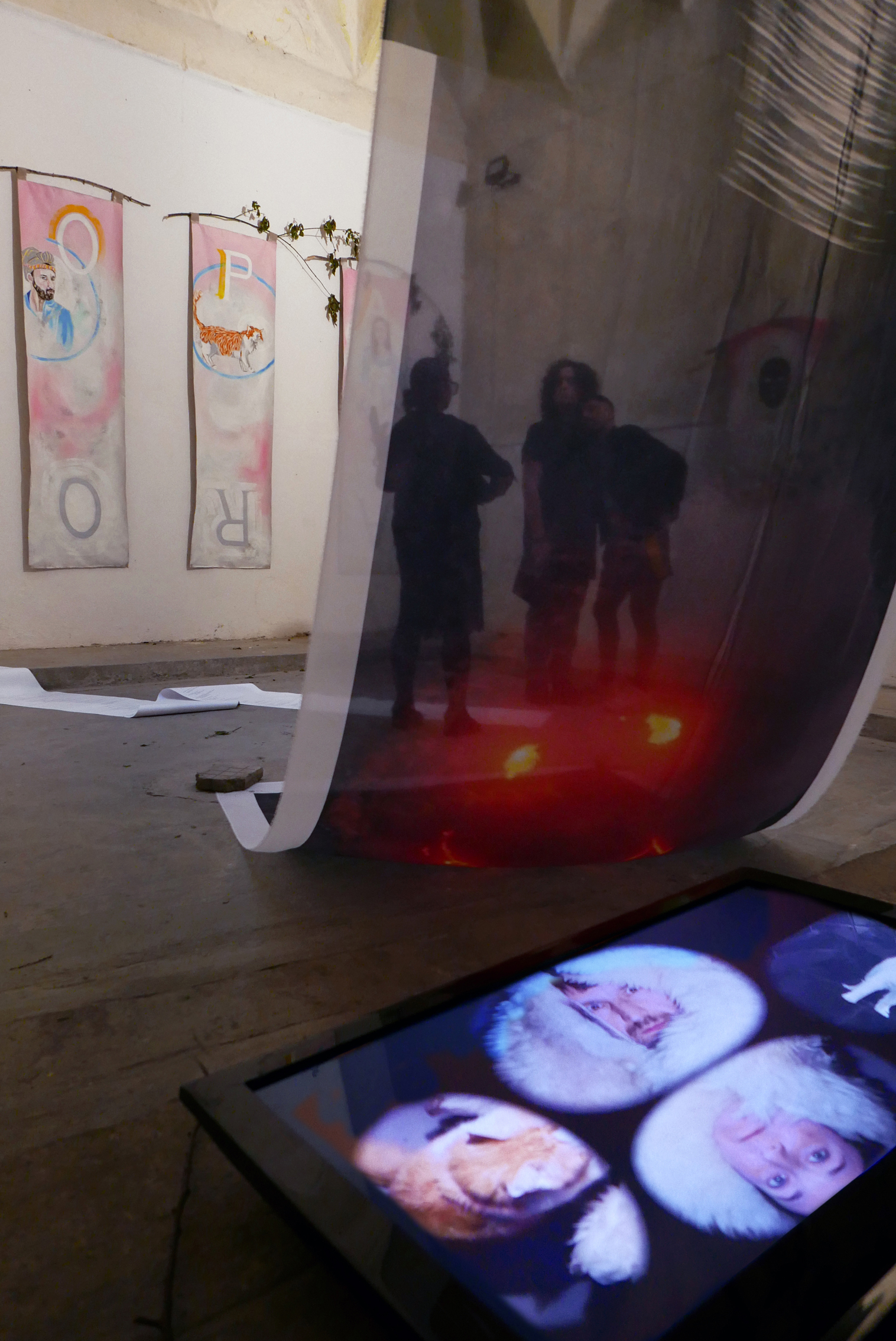 Digital Ecologies